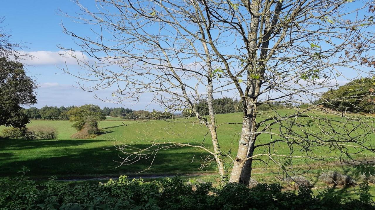 L'Ancien Presbytere Lescouet-Gouarec Esterno foto